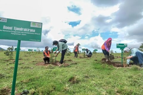 PT Vale Indonesia Dukung Pemprov Sulsel Rehabilitasi DAS, Tanam 9,5 Juta Pohon di 17 Kabupaten