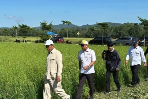 Mentan Amran Menelusuri Jaringan Irigasi di Konawe Demi Swasembada