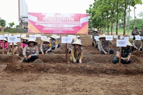 Peluncuran Program Pekarangan Pangan Lestari untuk Ketahanan Pangan dan MBG di Sulawesi Selatan