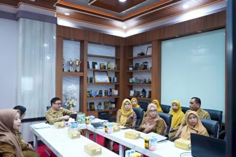 Pemprov Sulsel Tegaskan Dukungan Pemenuhan SDM Kesehatan untuk Layanan KJSU-KIA