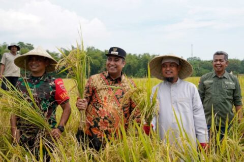 Pemprov Sulsel Pacu Hilirisasi Pertanian Lewat Mandiri Benih Komoditas Strategis
