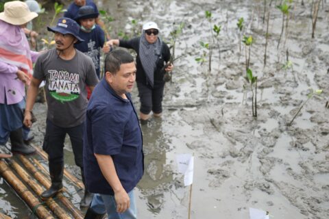 Wali Kota Munafri Tekankan Manfaat Mangrove untuk Lingkungan dan Ekonomi