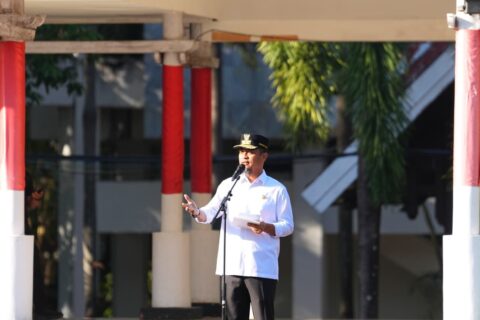Pemprov Sulsel WFA 1-4 September, Gubernur: Layanan Publik Tetap Jadi Prioritas