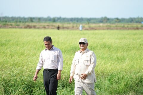 Survei Litbang Kompas: 71,5 Persen Puas dengan Kinerja Kementan