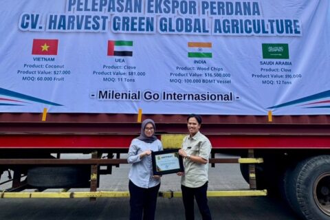 Dari Tekad Sederhana, CV Harvest Green Tembus Pasar Global Melalui Ekspor Kelapa