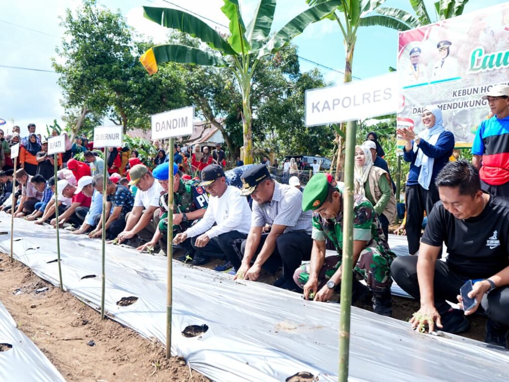 Gubernur Sulsel Andi Sudirman Sulaiman bersama Bupati Bone Andi Asman Sulaiman meresmikan Kebun Hortikultura Terintegrasi di Tanete Riattang Barat, Bone, Sabtu (4/10/2025), untuk mendukung program Makan Bergizi Gratis berbasis pangan lokal.