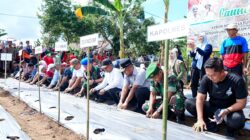 Gubernur Sulsel Andi Sudirman Sulaiman bersama Bupati Bone Andi Asman Sulaiman meresmikan Kebun Hortikultura Terintegrasi di Tanete Riattang Barat, Bone, Sabtu (4/10/2025), untuk mendukung program Makan Bergizi Gratis berbasis pangan lokal.
