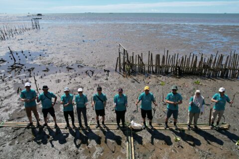 Rehablitasi Pesisir Lantebung, 5.000 Bibit Mangrove Ditanam untuk Pulihkan Ekosistem dan Serap Karbon