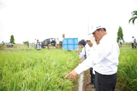 Mentan Amran Copot Pejabat Eselon II dan III karena Indisipliner