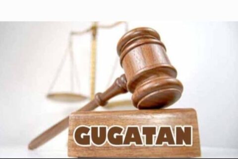 PB HMI: Gugatan Mentan Amran Harus Dilihat dari Sisi Etika Komunikasi dan Tanggung Jawab Digital