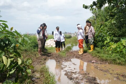 Pemkot Makassar Siapkan Pembangunan Jalan di Romang Tangayya Tahun 2026
