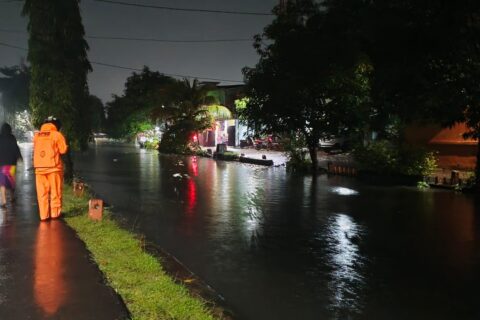 BPBD Tangani Pohon Tumbang dan Evaluasi Warga di Sejumlah Wilayah Rawan