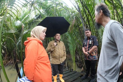 Di Tengah Hujan, Appi Tinjau Jembatan Lapuk di Barombong, Pembangunan Segera Dikerjakan