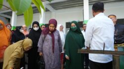 PKK Goes to School di Soppeng, Edukasi Lingkungan lewat Penanaman Bibit Buah