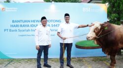 BSI Salurkan 24 Ribu Hewan Kurban untuk Idul Adha 1447 H, Naik 57 Persen
