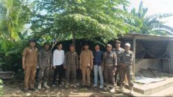 Kandang Babi di Gudang Farmasi Tamalate Ditangani Persuasif, Dipindahkan