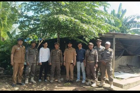 Kandang Babi di Gudang Farmasi Tamalate Ditangani Persuasif, Dipindahkan
