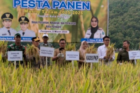 Pemkot Parepare Komitmen Perkuat Sektor Pertanian, Pesta Panen 2025-2026 Berlangsung Meriah