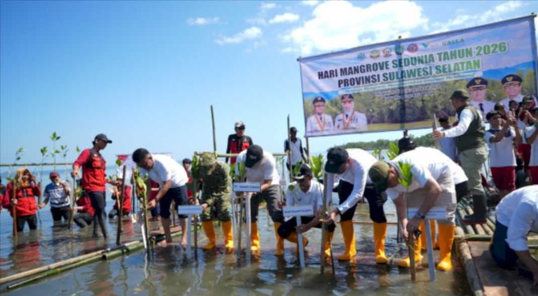 Gubernur Sulawesi Selatan Andi Sudirman Sulaiman memimpin penanaman 7.000 bibit mangrove di pesisir Desa Bulu Cindea, Kabupaten Pangkep, Senin (27/7/2026).