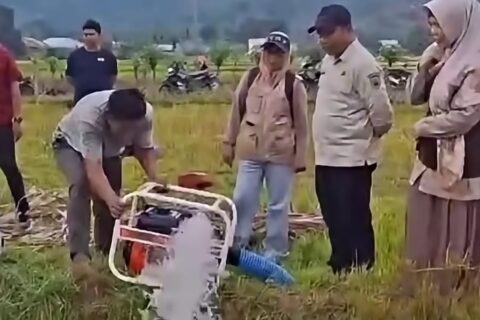 Selamatkan Lahan Pertanian di 24 Kabupaten Kota, Gubernur Sulsel: Tim Sudah Lakukan Pompanisasi di Lapangan