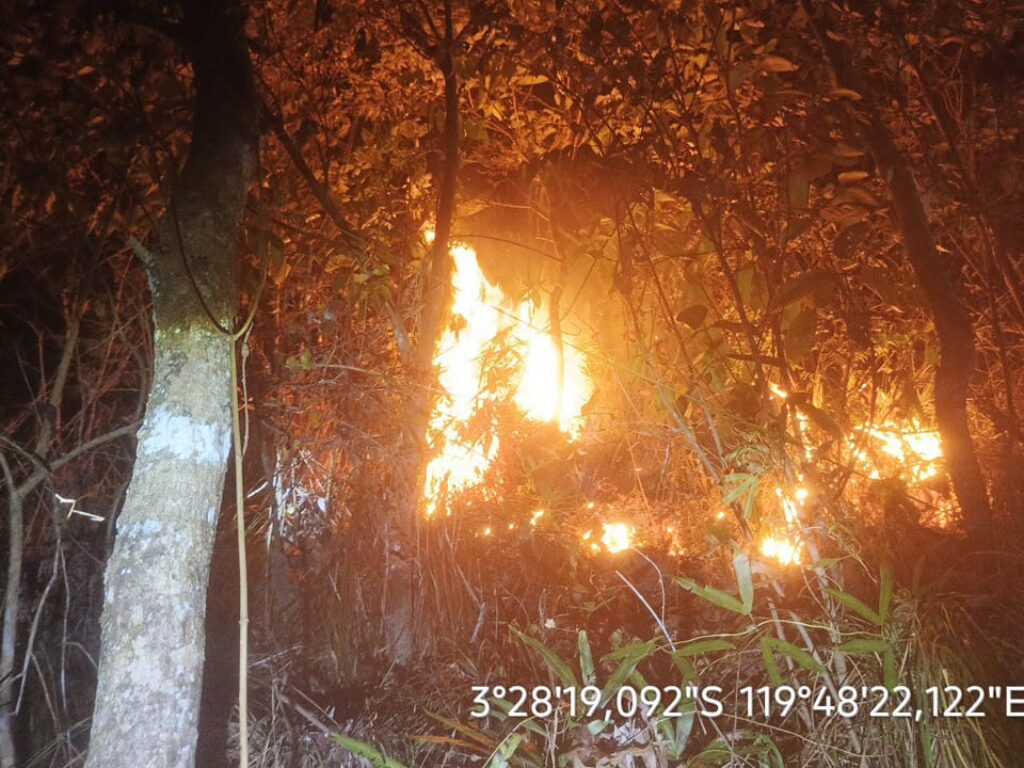 Kebakaran Melanda Sejumlah Wilayah di Sulsel, Gubernur Andi Sudirman Ajak Warga Tingkatkan Kewaspadaan