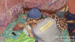 Tim Kesehatan Sulsel Layani 315 Pasien Pascagempa di Manggarai